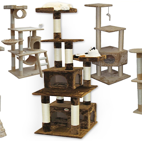 neden kedi tırmalama ağacı