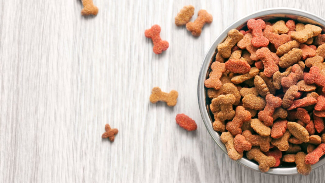 Evcil hayvan maması